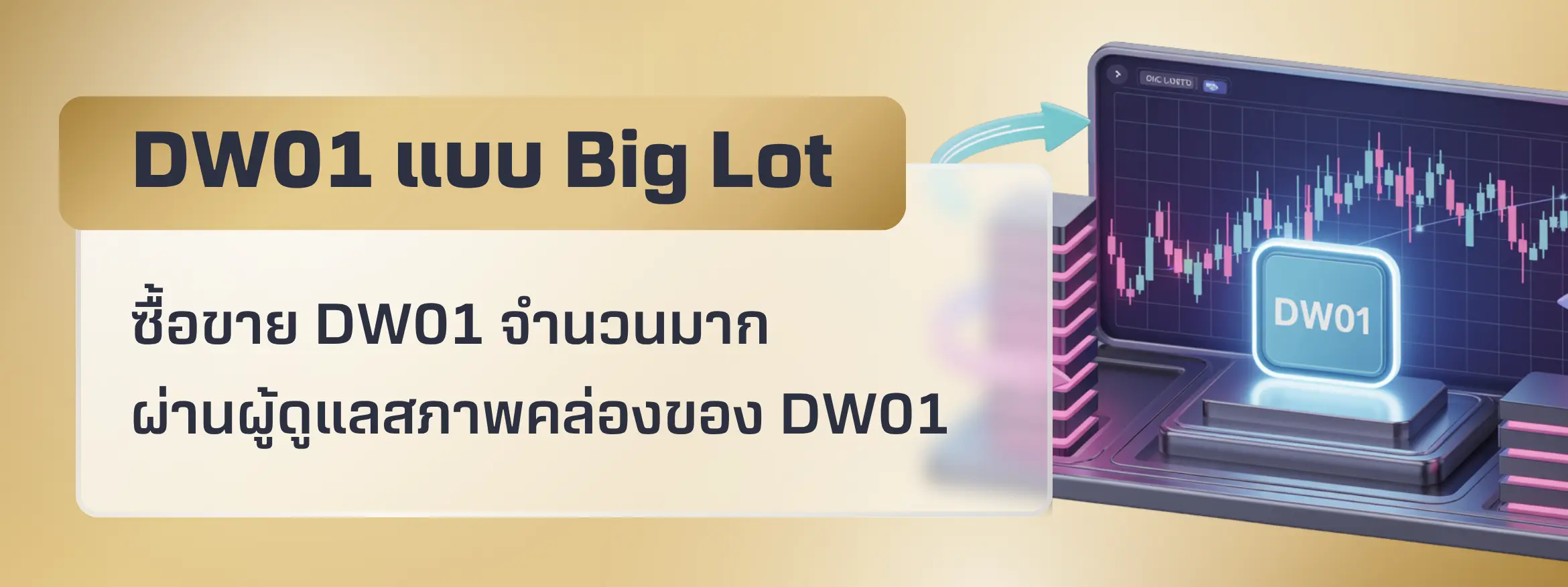 DR01-Big-Lot.webp