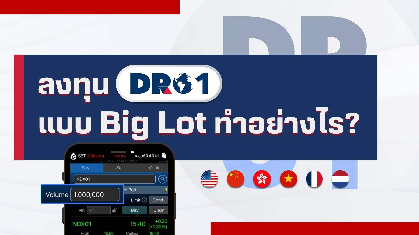 DR01BIGLOT