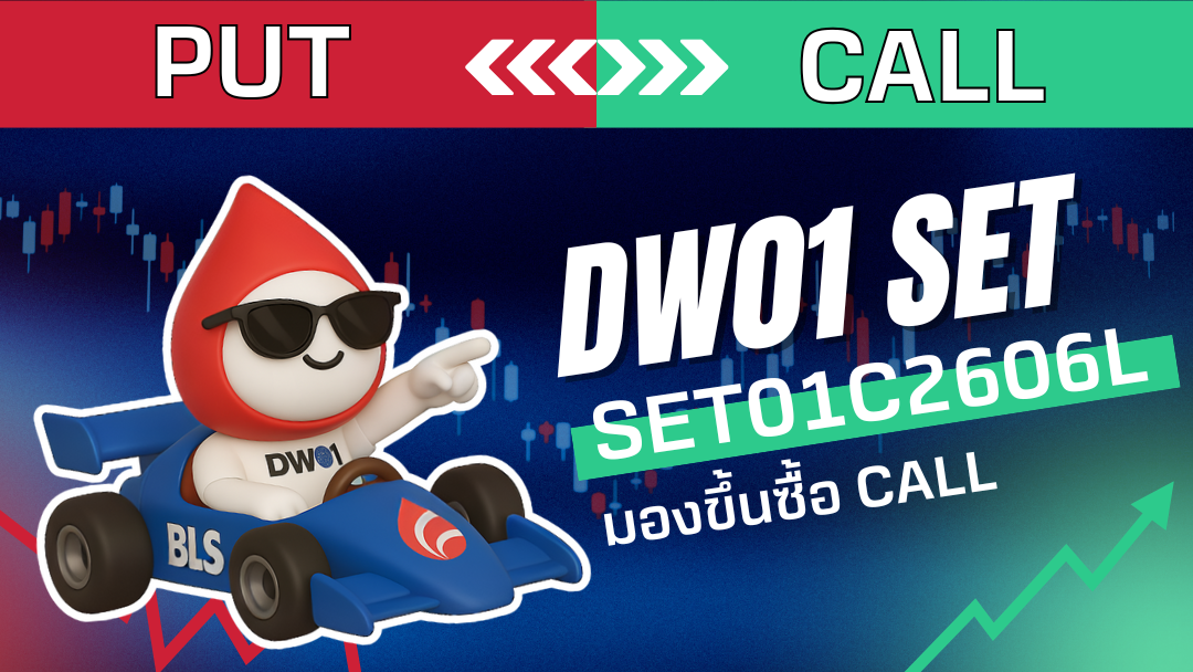 dwset2