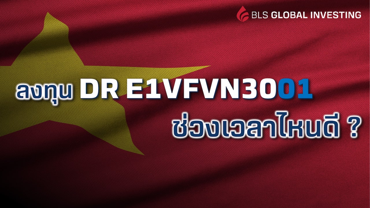 e1vfvn3001timing