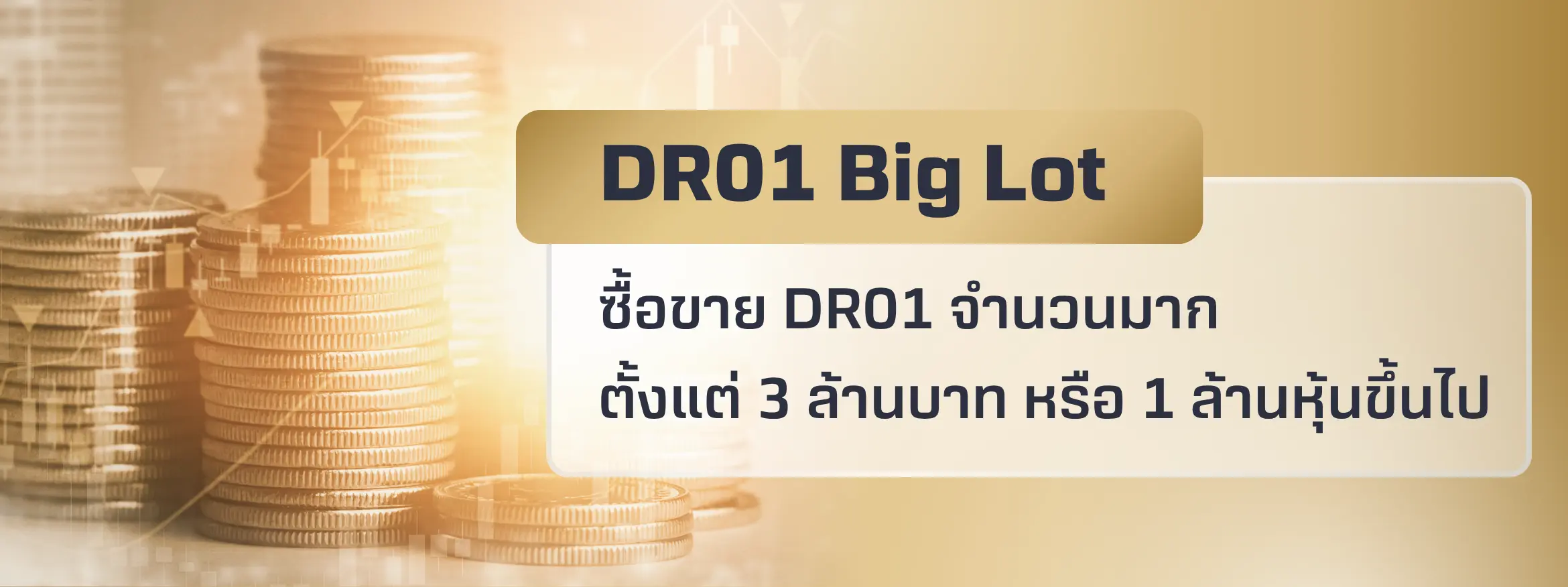 DR01-Big-Lot-(2).webp