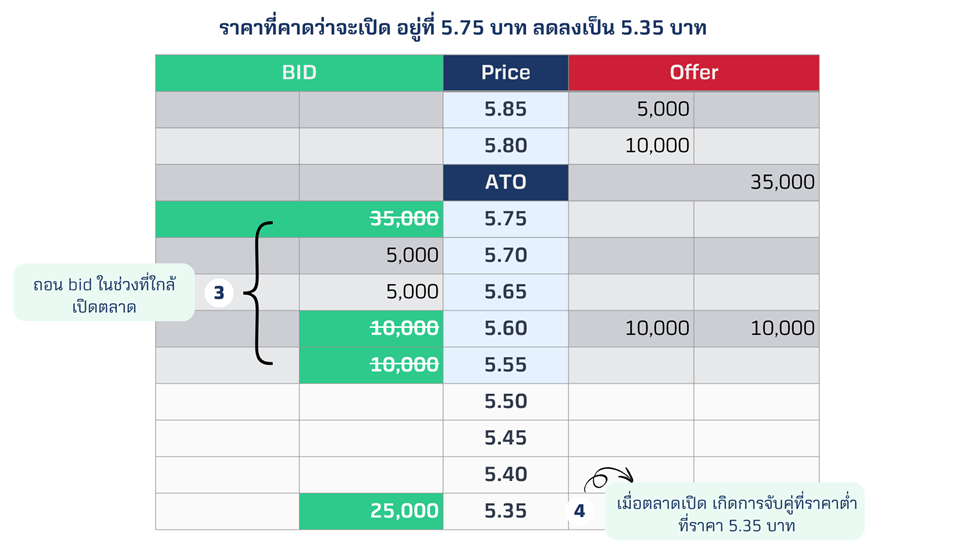 image-(24).png
