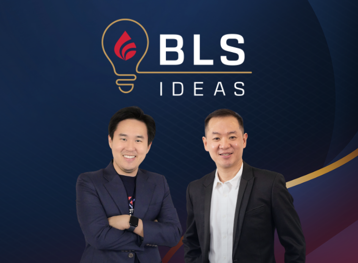 BLS Ideas